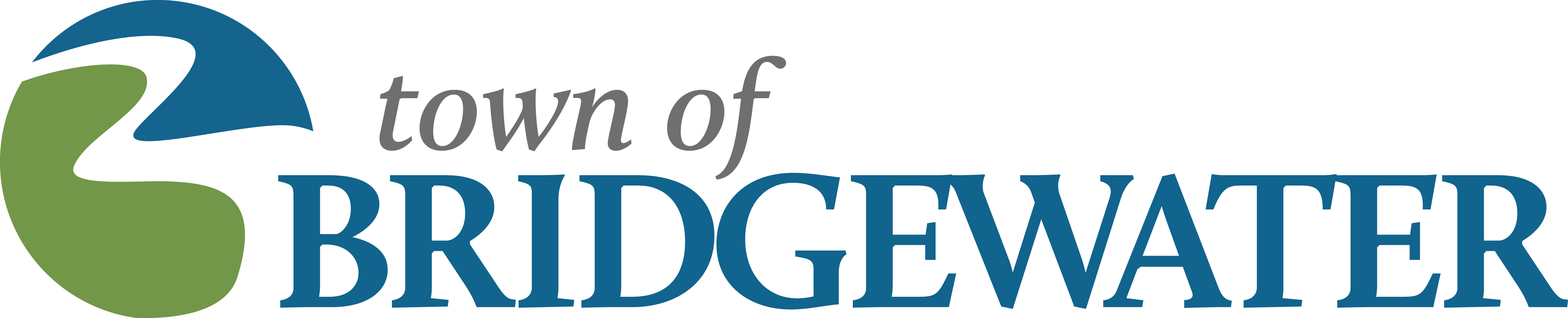 Survey logo